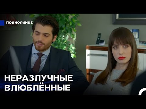 Видео: Любовь При Лунном Свете: Не Развод, А Парная Терапия - Полнолуние