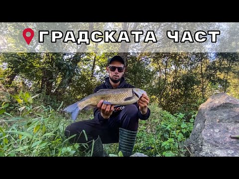 Видео: ГРАДСКАТА ЧАСТ на МАРИЦА. ТРОФЕЙНИ КЕФАЛИ