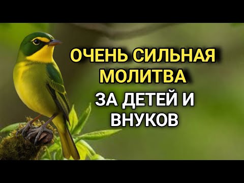 Видео: УСПЕЙ ВКЛЮЧИТЬ 1раз! СЧАСТЬЕ ВОЙДЁТ В ДОМ, А ПРОБЛЕМЫ ИСЧЕЗНУТ САМИ! Это Чудо