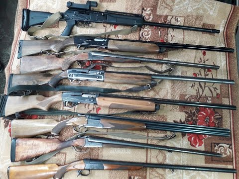 Видео: Сайга12 С, Бекас 12М-Авто,МР 155 12к,МЦ 21-12, ИЖ-12, ИЖ-58 12к,ИЖ-58 20к, ИЖ-18 12к. Выбор ружья.