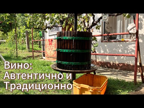 Видео: ВИНО ПО АВТЕНТИЧЕН НАЧИН: ЗАПАЗЕНА ТРАДИЦИЯ В УНГАРИЯ