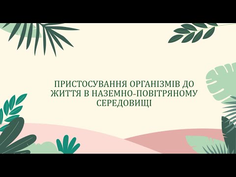 Видео: Пристосування організмів до життя в наземно-повітряному середовищі