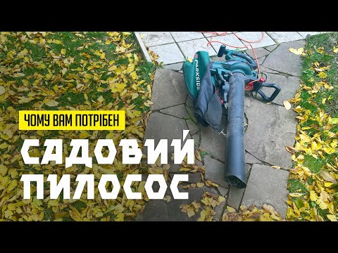 Видео: 3 причини купити садовий пилосос для збирання листя 🍁