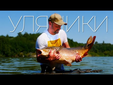 Видео: Рибалка на озері Уляники. Трофейні КОРОП та АМУР на бойли.