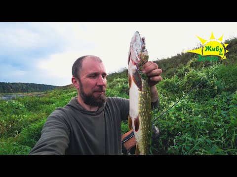 Видео: Крепче Спиннинг Держи! Рыбалка на Щуку. На Крупный Силикон