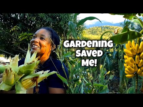 Видео: Садовая терапия! Сбор урожая и ликвидация последствий урагана «Мелисса»