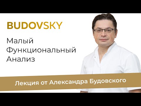 Видео: Малый функциональный анализ. Лекция от Александра Будовского