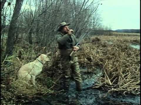 Видео: 31 - Одиссея Жака Кусто -  Миссисипи 1