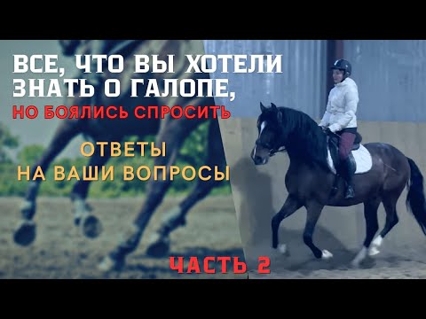 Видео: ВСЕ, что вы хотели знать о ГАЛОПЕ, но боялись спросить. ОТВЕТЫ на вопросы подписчиков