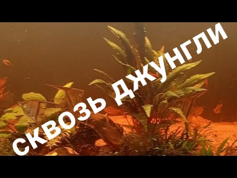 Видео: 7. Аквариум на земле 210л. Глобальная прополка. Подмены.