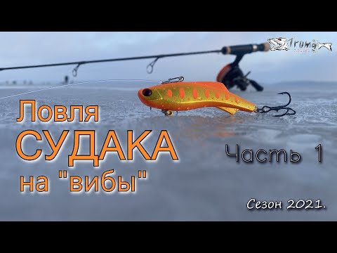 Видео: Ловля судака на вибы. Часть 1
