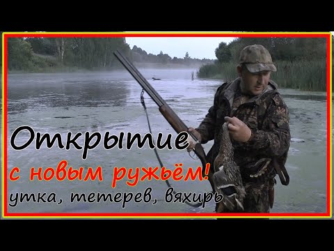 Видео: Открытие охоты на утку. Калужская область. Тетерев. Коростель. Вяхирь.