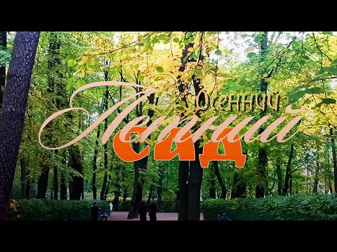 Видео: Осенний Летний сад