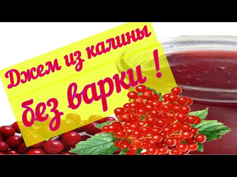 Видео: Джем из калины  Калина на зиму без варки. Калина защита иммунитета