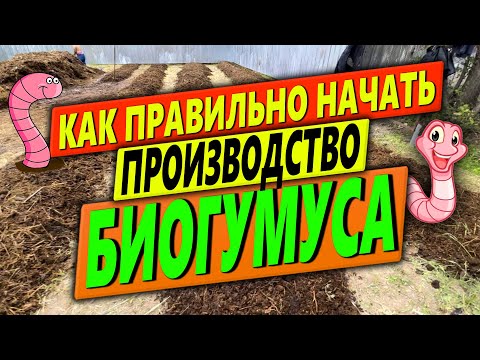 Видео: КАК ПРАВИЛЬНО НАЧАТЬ ПРОИЗВОДСТВО  БИОГУМУСА