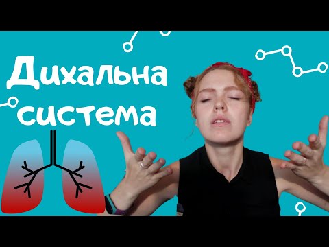 Видео: Дихальна система