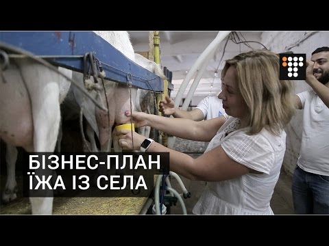 Видео: Їжа із села. Бізнес-план