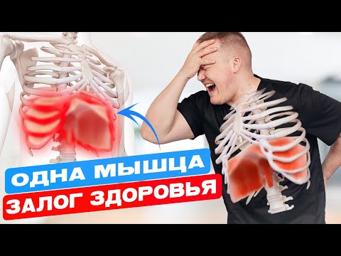 Видео: Главная причина СПАЗМ диафрагмы, 3 упражнения для быстрого ОБЛЕГЧЕНИЯ дыхания