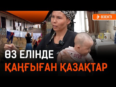 Видео: «Бір пәтерден 3-4 миллион теңге пайда табамыз». Квартира сатып, квартира жағалап жүрген қазақтар