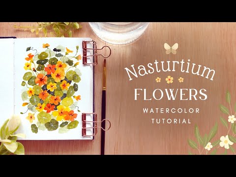Видео: Настурции: урок акварельной живописи