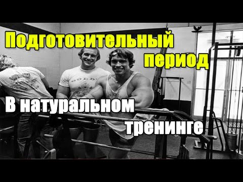 Видео: ПОДГОТОВИТЕЛЬНЫЙ ПЕРИОД в натуральном тренинге.