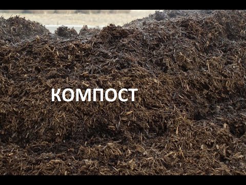 Видео: Компост.