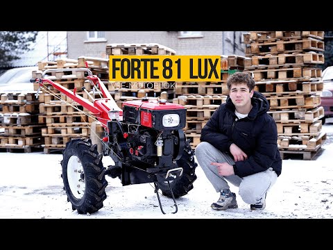 Видео: Чи справді ЛЮКС? FORTE МД-81 LUX