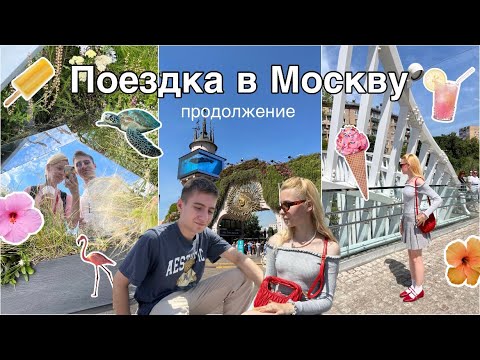 Видео: МОСКВА ЛЕТОМ / ЧЕМ удивил Московский зоопарк / НЕ ПОПАЛИ в Хуамин / ВДНХ 2024 /зашли в клуб Бустера