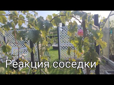 Видео: Наша Дача на севере Германии/Устанавливаем тумбы.Ответ на комментарий.