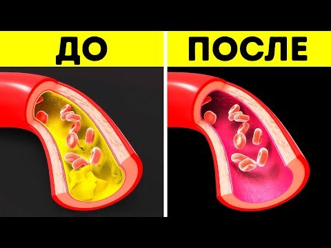 Видео: Начните Есть Рыбу Каждый День и Посмотрите, Что Произойдет с Вашим Телом
