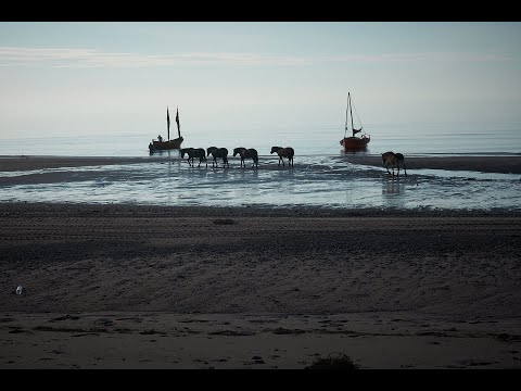 Видео: Поморский карбас, документный фильм,  2019