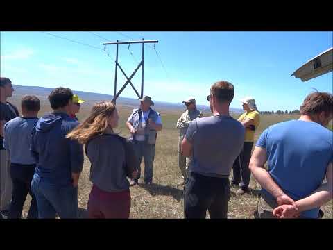 Видео: Параплан - парящий полет. Чемпионат Иркутской области 2018 г. по спорту сверхлегкой авиации