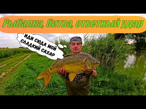 Видео: Рыбалка, битва, ответный удар Джюнжюра!