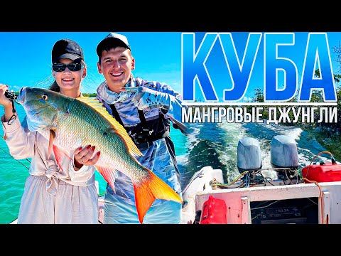 Видео: Обитатели МАНГРОВЫХ ДЖУНГЛЕЙ - рыбалка на Кубе с лодки | Где, как и сколько стоит?