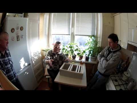 Видео: Пчеловодство.Нуклеусы и Матки.Фильм №3