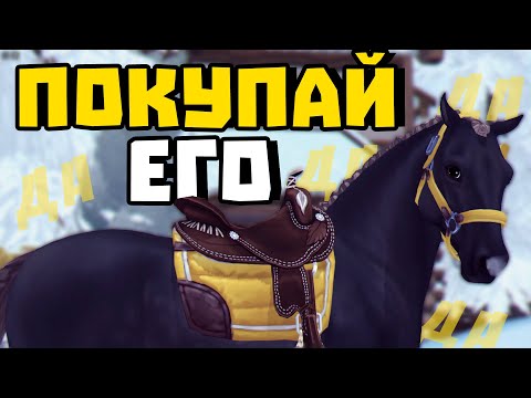 Видео: ПОКУПКА МОРГАНА | ЛУЧШАЯ МИНИАТЮРНАЯ ЛОШАДКА | Star Stable