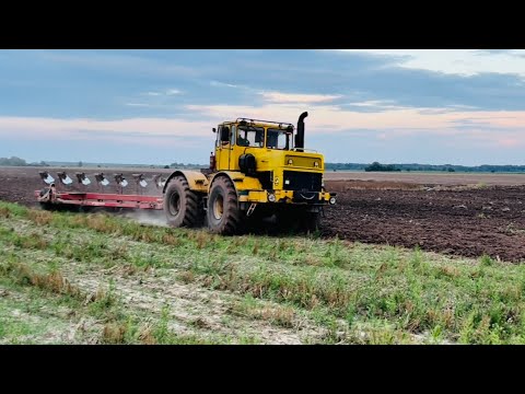 Видео: Оранка під РІПАК‼️