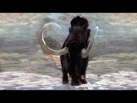 Видео: Почему вымерли мамонты? Рассказывает палеонтолог Иварс Зупиньш