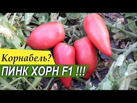 Видео: ПИНК ХОРН F1 - тип Корнабель - десертный, перцевидный томат от Rijder Seeds - Добрые Семена.ру