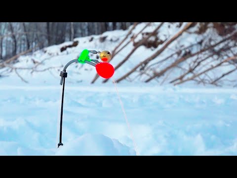 Видео: КОМБАЙНЫ ловят всю рыбу! Нарвались на мощный клёв! Судак, щука, окунь, язь ,лещ! СУПЕР РЫБАЛКА!
