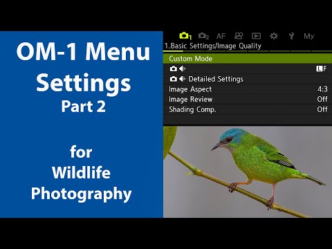 Видео: Настройки меню камеры OM1 для съёмки дикой природы. Часть 2