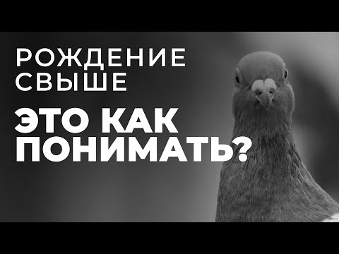 Видео: Что такое духовное возрождение?