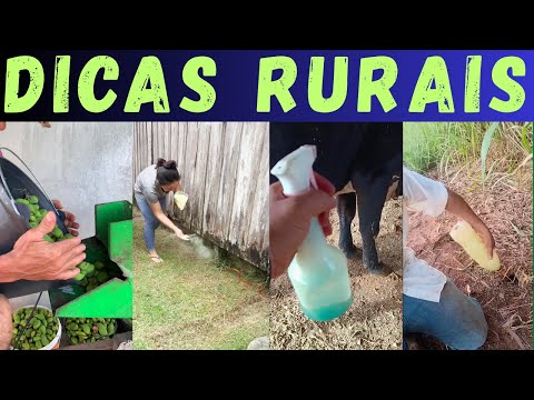 Видео: Советы для Росы. Посмотрите, что ваш сосед знает, а вы н...