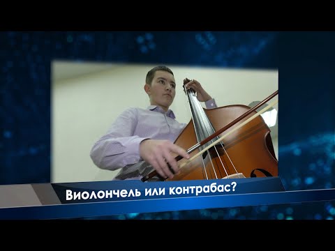 Видео: Виолончель или контрабас