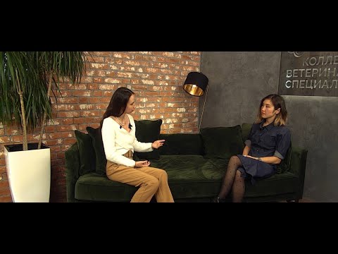 Видео: Поведенческая медицина - интервью Коникова Людмила