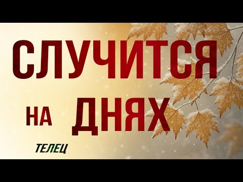 Видео: ✅ ТЕЛЕЦ, это ♣️♦️ СЛУЧИТСЯ на ❇️ ДНЯХ, таро, гороскоп, телец неделя таро, неделя 10-16 ноября, 