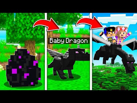 Видео: РЕБЕНОК И ДЕВУШКА Как пройти Майнкрафт, но как менялся дракон и его жизненный цикл ! ВИДЕО MINECRAFT