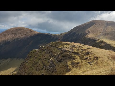 Видео: Кваси осінь 2023