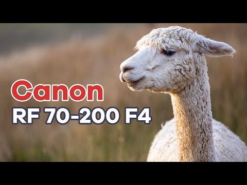 Видео: Обзор пейзажной фотосъемки Canon RF 70-200 f4