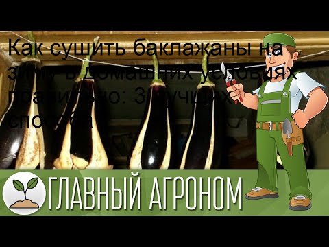 Видео: Как сушить баклажаны на зиму в домашних условиях правильно: 3 лучших способа